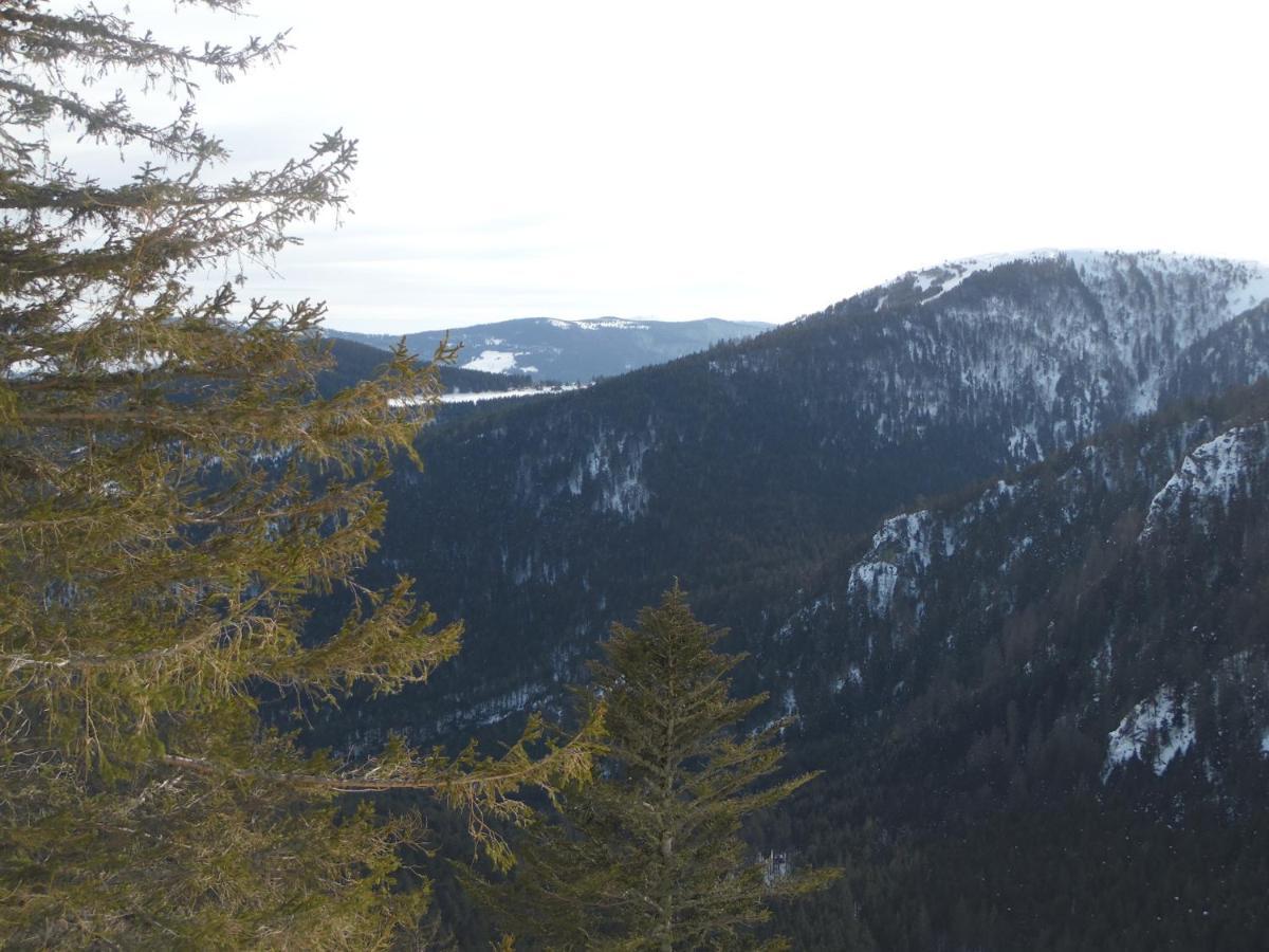 Gite Du Silberwald Charmant Gite Avec Spa - Jacuzzi , Acces Privatif Stosswihr Exterior foto