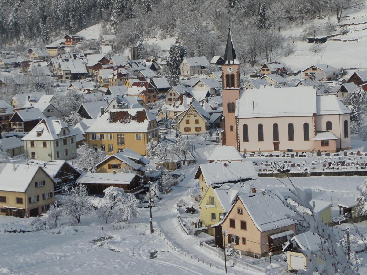 Gite Du Silberwald Charmant Gite Avec Spa - Jacuzzi , Acces Privatif Stosswihr Exterior foto